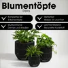 Mica Decorations Peta Pots de fleurs – Lot de 3 – Pots pour Voir les images du produit 2