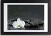 Bild 30x20 MDF-Rahmen, Wandkunst Orchidee Produktbild-Vorschau 1