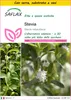 SAFLAX Insieme di coltivazione - Stevia - 100 semi - Stevia Anteprima dell’immagine prodotto 1
