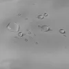 Vorhang Wasserdicht Sonnenschutz Gardine Wetterfest Produktbild-Vorschau 3