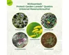 PROTECT GARDEN Loredo® Quattro Universal-Rasenunkrautfrei Produktbild-Vorschau 10