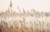 Magnetmatte für Heizkörperverkleidung, Beige Boho Reed, Produktbild-Vorschau 4