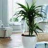 Adapter do butelek BioGreen 4x do systemu nawadniania Podgląd zdjęcia produktu 8