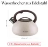 Bollitore In Acciaio Inossidabile 2,5 L Lava Beige Mg Anteprima dell’immagine prodotto 3
