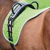 Busse Longiergurt DOUBLE, Größe:Pony, Farbe:schwarz Produktbild-Vorschau 2