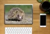 MuchoWow® Laptop Aufkleber Sticker Cover Igel auf Schotter Produktbild-Vorschau 2