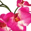 Künstliche orchideen komposition keramikvase h46cm  - Produktbild-Vorschau 3