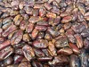 Sušené datle 10 KG - bez pecky - bez přidaného cukru - Náhled obrázku produktu 5