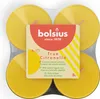 True Citronella Maxilichte 8er Pack Produktbild-Vorschau 4