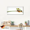 ARTland Glasbild Frosch auf einem Blatt Größe: 20x20 cm Produktbild-Vorschau 5