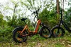 48V 18Ah E BIKE,20 *4.0" Fetter Reifen E-Bike Klappräder,  Produktbild-Vorschau 9