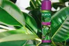A spray can of plant leaf shine is placed in front of large green leaves. Náhľad obrázku produktu