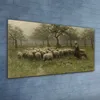 Coloray Bild aus Acryl 120 cm x 60 cm - Gehärtetes Acryl Produktbild-Vorschau 2