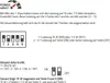 DOTLUX LED-Wandleuchte WAY 15cm 7,5/15W 3000K Produktbild-Vorschau 11