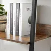 A close-up view of books on a shelf, with a plant in a pot to the left and a metal support beam to the right. Podgląd zdjęcia produktu