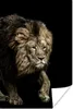 MuchoWow® Poster Profil - Löwe - Wild 60x90 cm - Produktbild-Vorschau 1