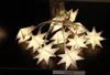 A string of star-shaped LED lights on a dark surface. Produktbild-Vorschau