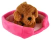 Pet in the bed peluche 4 colori 22x24cm 24m+ Anteprima dell’immagine prodotto 8