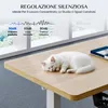 A white cat sleeping on a wooden desk near a window, with text overlays about noise regulation. Anteprima dell’immagine prodotto