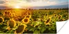 MuchoWow® Poster Blumen - Sonnenblume - Himmel 40x20 cm - Produktbild-Vorschau 1