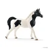 Schleich - Figure di animali, stallone arabo Pinto; 13840 Anteprima dell’immagine prodotto 2