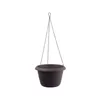 SIESTA samooplodňujúca závesná žaba d25x16cm Náhľad obrázku produktu 10
