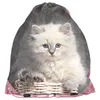 8pcs KATZE satchel zaino zaino scuola gattino astuccio Anteprima dell’immagine prodotto 9
