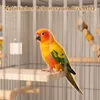 2er Set Vogelplattform aus Holz, Vogel Zubehör – rechteckig Produktbild-Vorschau 3