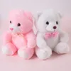 Kuscheltier Leuchtbär - 7 Farben Leuchtend, Rosa - Geschenk Produktbild-Vorschau 5