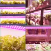 85W 175 LED Pflanzenlampe Vollspektrum Pflanzenlicht Produktbild-Vorschau 6