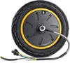 60/70-6,5 Motor Elektroroller 36V 500W Motorrad Fuer Produktbild-Vorschau 3
