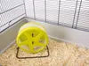Nager Laufrad "ORBITAL", ø28cm Produktbild-Vorschau 1