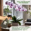 MePla - Set - Gießkanne 1,5l Indoor + Sprüher 1,0l - Produktbild-Vorschau 7