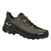 Boty Salewa Alp Trainer 2 Gtx 614007953 Náhled obrázku produktu 2