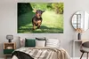 MuchoWow® Poster Ein sprintender Dackel 180x120 cm - Produktbild-Vorschau 4
