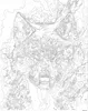 Malen nach Zahlen Erwachsene Tiere Wolf Elemente 50x40 - 31 Produktbild-Vorschau 2