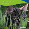 Canina Pharma Rinderfettpulver 250g - Hochwertiges Produktbild-Vorschau 4