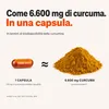 Curcuma Capsule con Vitamina D3 - Curcumina NovaSOL, 30 Anteprima dell’immagine prodotto 8