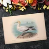 Coloray Herdabdeckplatte 80x52 cm Schneidebrett Produktbild-Vorschau 2