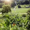 Set Tomatenspiralstab 180cm Alu, 5 Stk. Produktbild-Vorschau 3