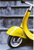 Trotinette d'apprentissage PRIMO, jaune Voir les images du produit 6
