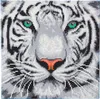 CRAFT Buddy White Tiger, Bastelset für Kinder, 6 Jahr(e), Produktbild-Vorschau 1