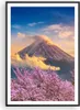 Gerahmtes Poster - Schwarzer Rahmen - Fuji Blume Kirsche - Produktbild-Vorschau 1