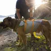 Ruffwear BackTrak™ Evakuierungsset für Hunde Cloudburst Produktbild-Vorschau 11