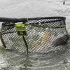 Matrix Fishing Carp Scoop Xl Landungsnetzkopf Grau 60 x 50 Produktbild-Vorschau 6