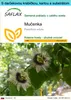 SAFLAX Darčeková sada - mučenka - Passiflora edulis - 40 Náhľad obrázku produktu 1