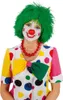 Perücke Clown grün Produktbild-Vorschau 2
