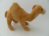 A plush toy camel on a white background. Produktbild-Vorschau