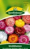 Strohblume, Riesenblumige Mischung Produktbild-Vorschau 3