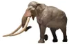 Eofauna FIG-002 Evropský lesní slon (Palaeoloxodon Náhled obrázku produktu 1